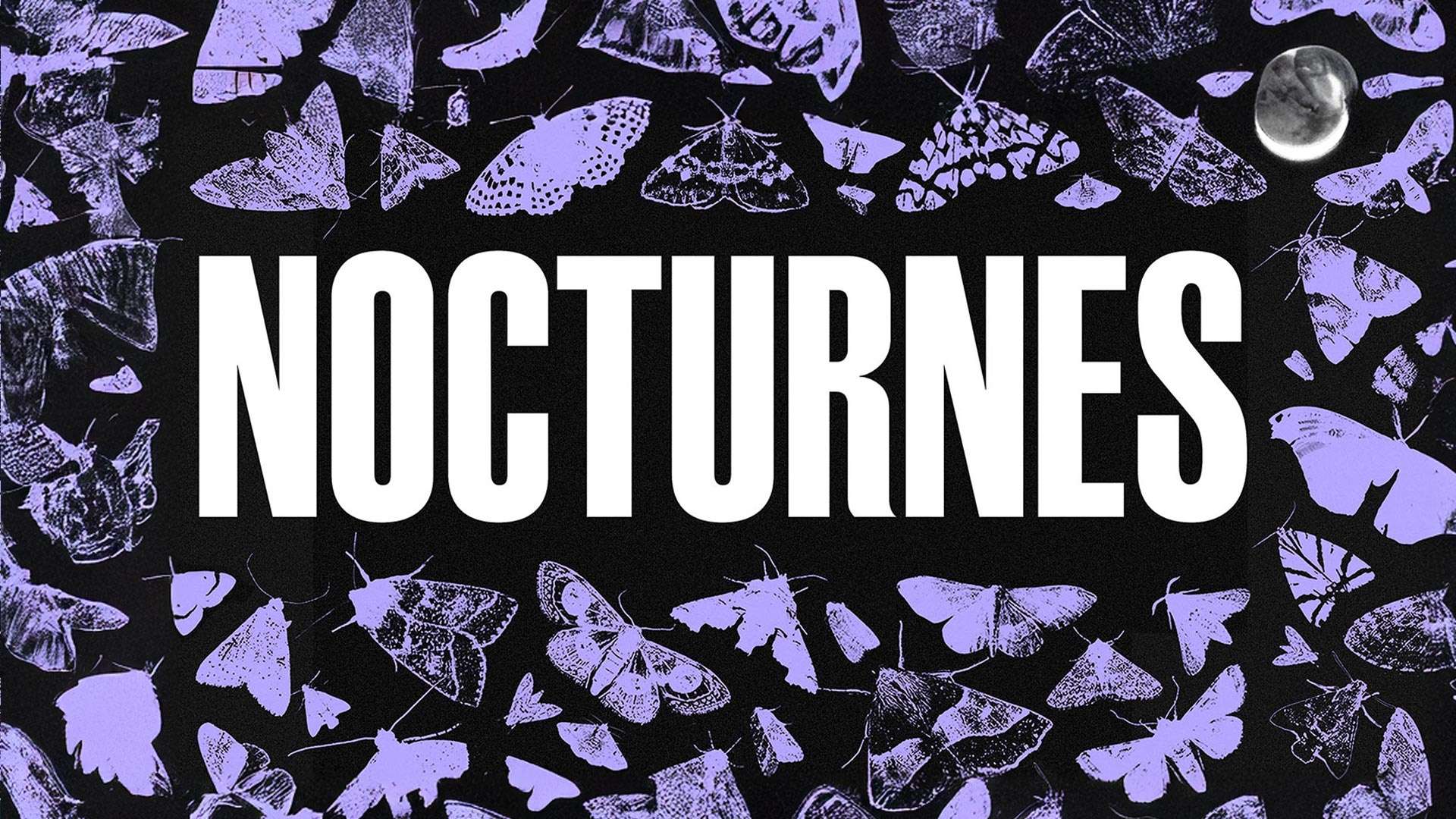 Nocturnes | Official Trailer