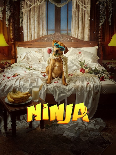 Ninja poster