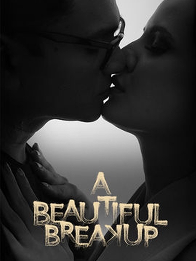 A Beautiful Breakup poster